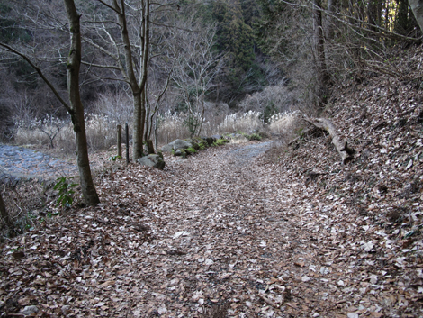 20180116hike (325)